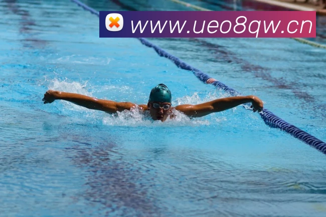 App Interface Preview